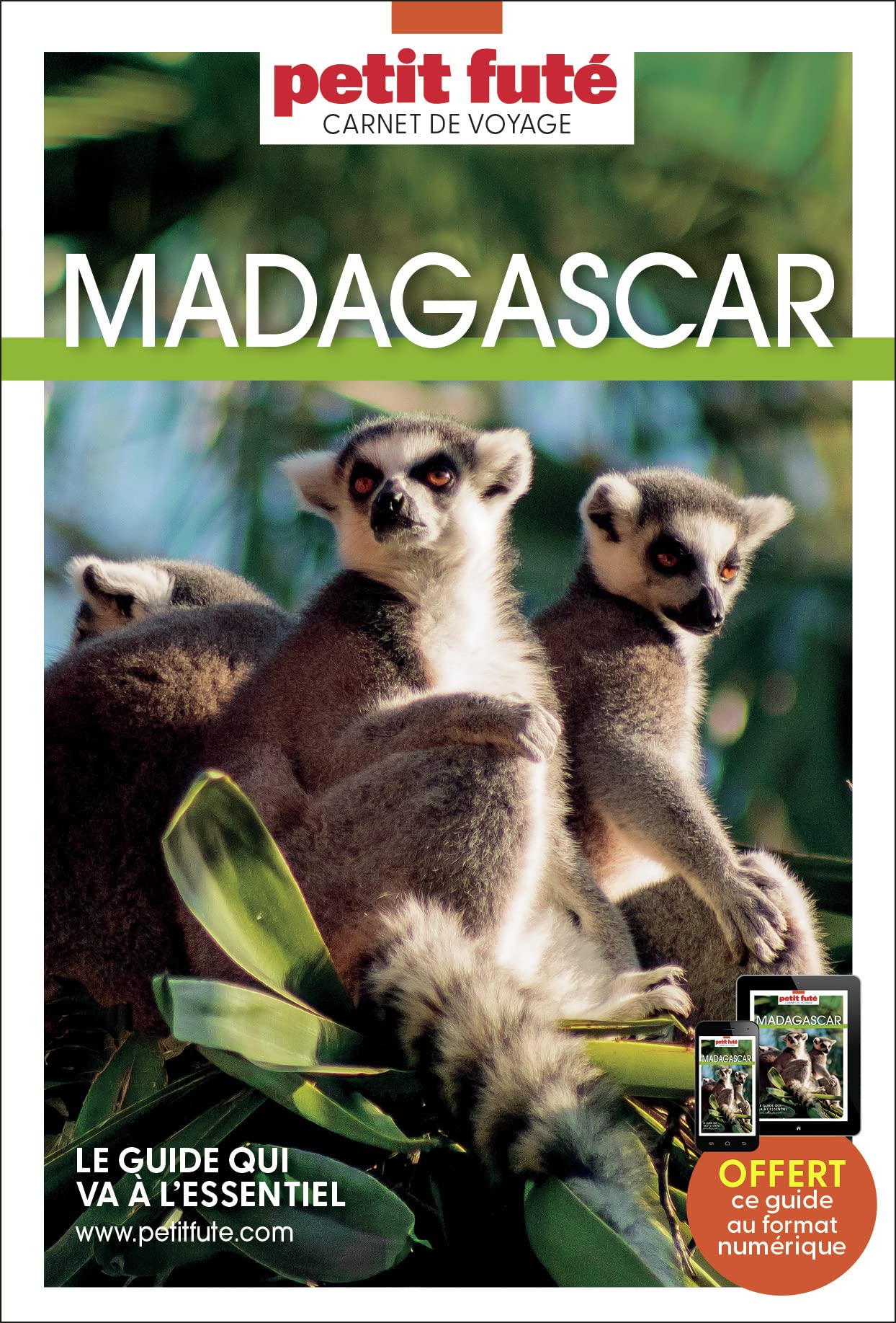 Guide Madagascar 2020 Carnet Petit Futé