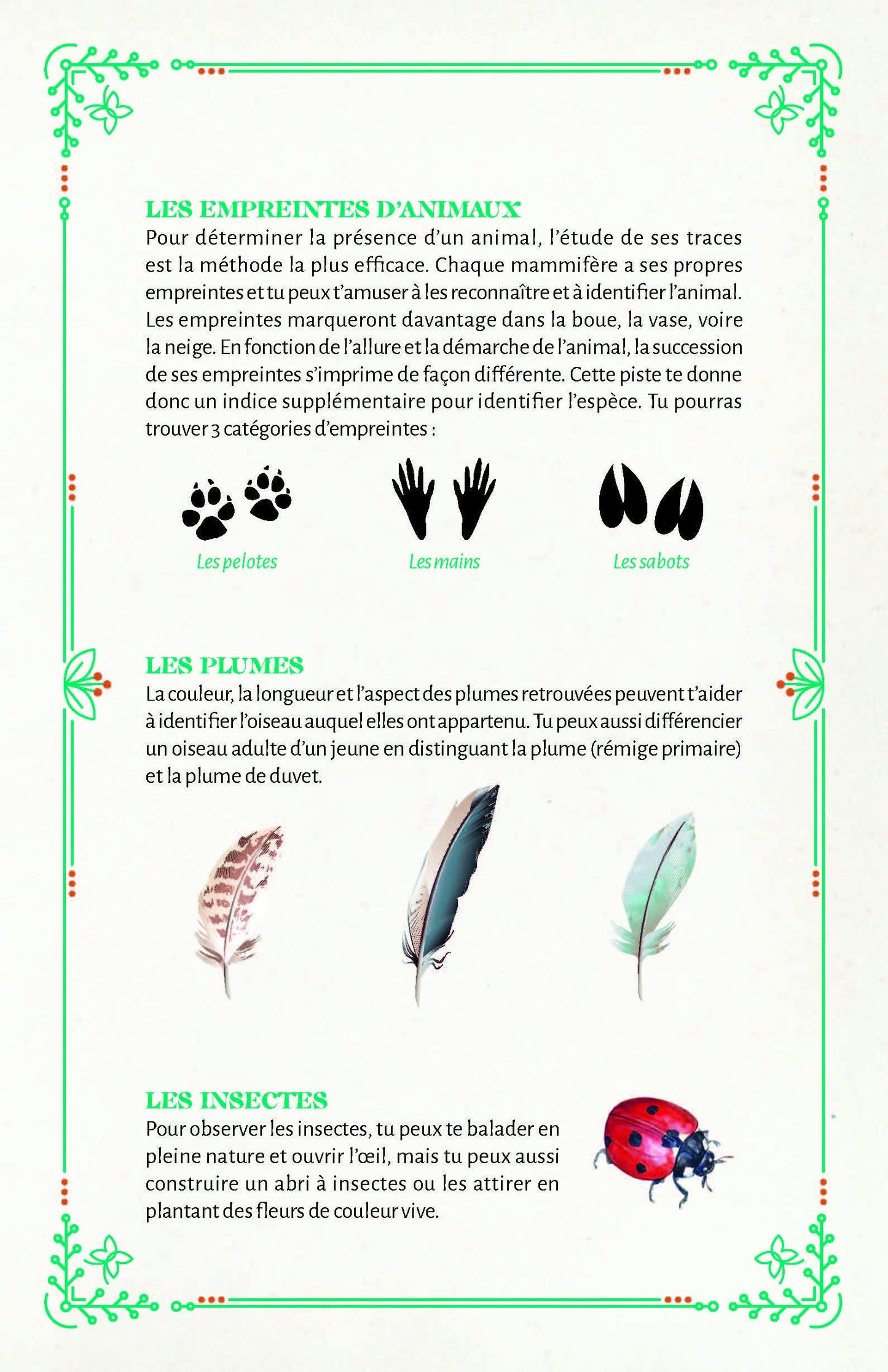 Mon carnet découvertes nature