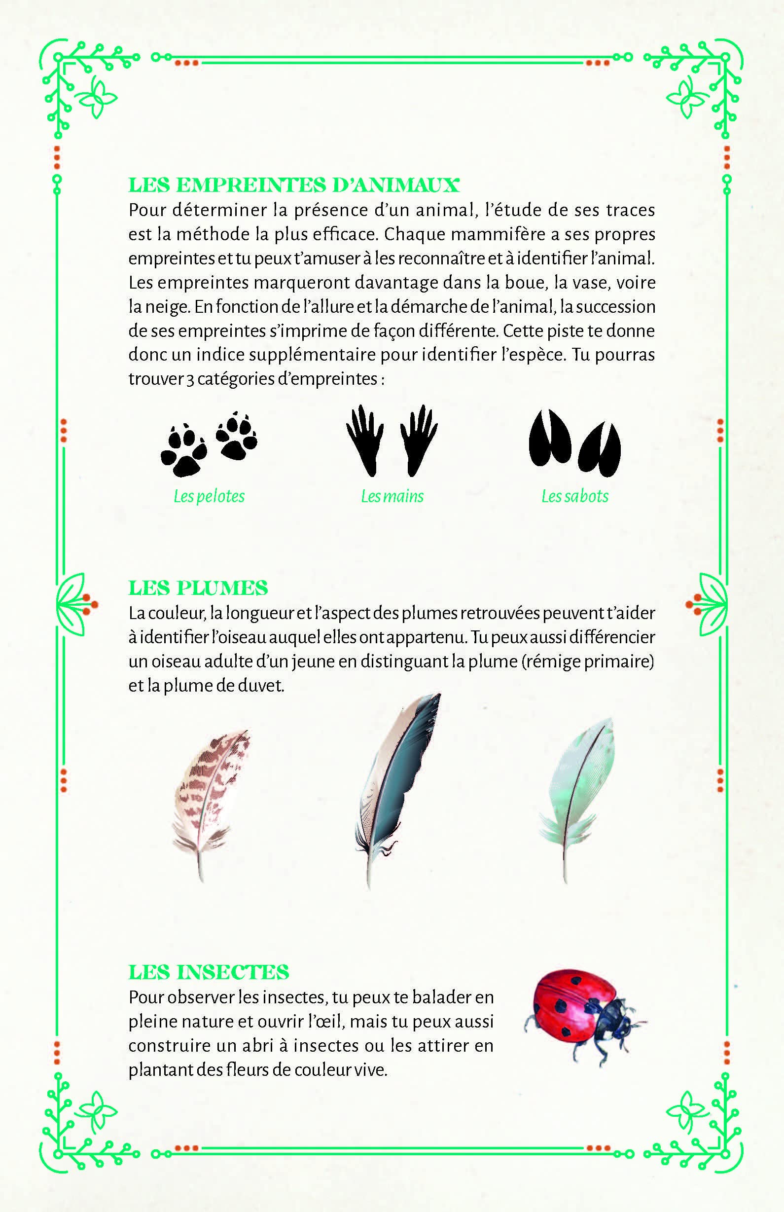 Mon carnet découvertes nature