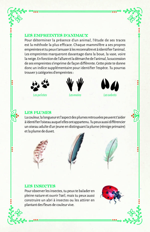 Mon carnet découvertes nature