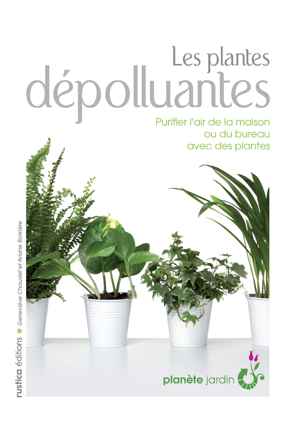 LES PLANTES DEPOLLUANTES