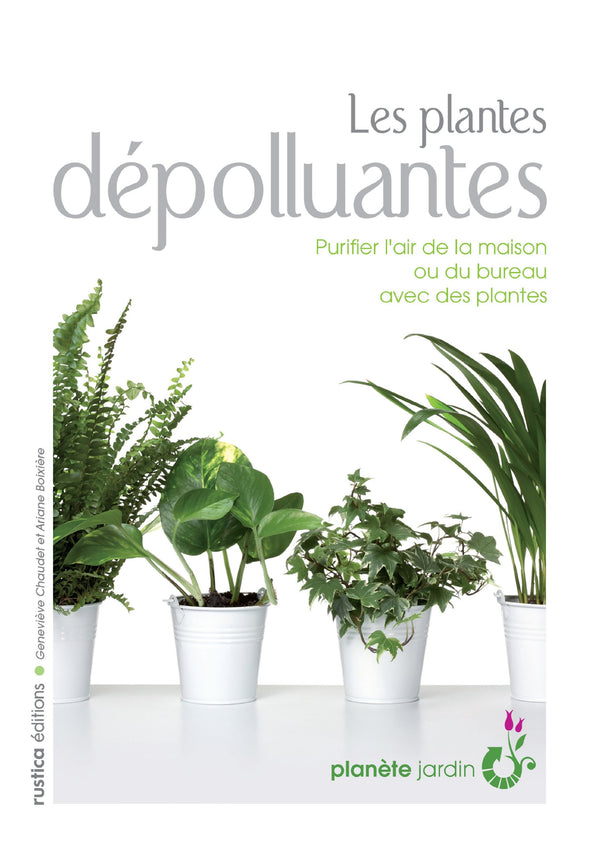 LES PLANTES DEPOLLUANTES
