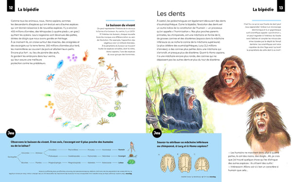 Homo sapiens, qui sommes-nous ?
