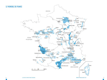 Guide des vins Bettane et Desseauve 2020