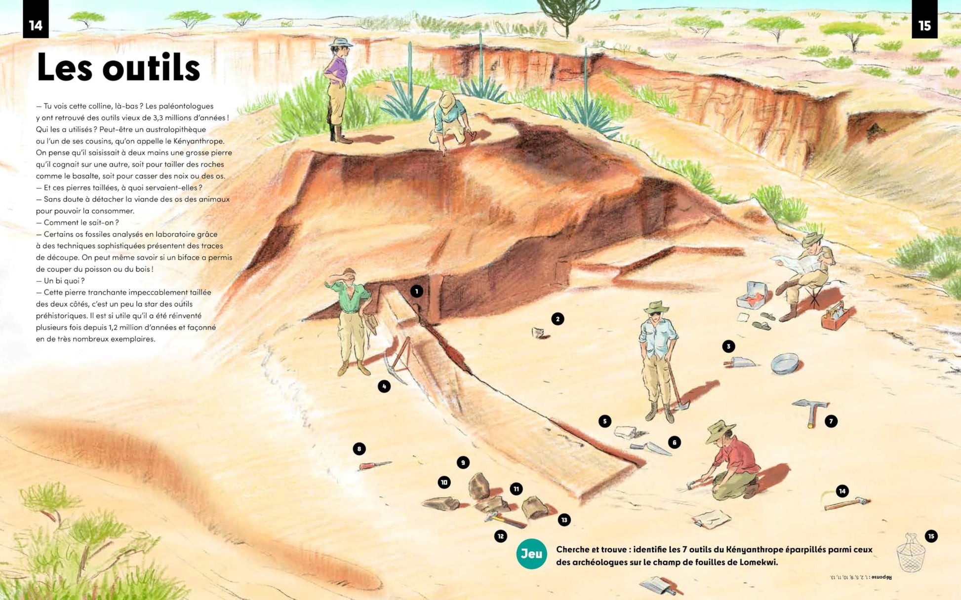 Homo sapiens, qui sommes-nous ?