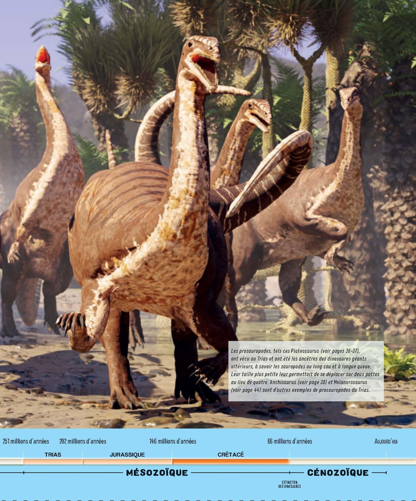 L’incroyable imagerie dinosaures