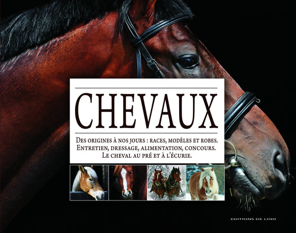 Chevaux