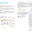 JE SUIS EN CP - METHODE DE LECTURE: PEDAGOGIE MONTESSORI - MIEUX APPRENDRE GRACE AUX NEUROSCIENCES