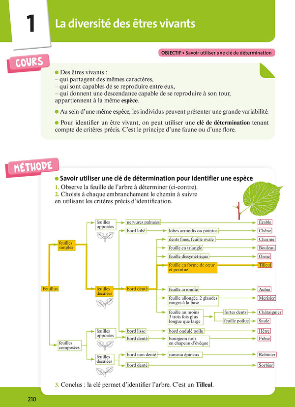 L'Année de la 6e - Tout pour Réussir - Nouveau programme 2016