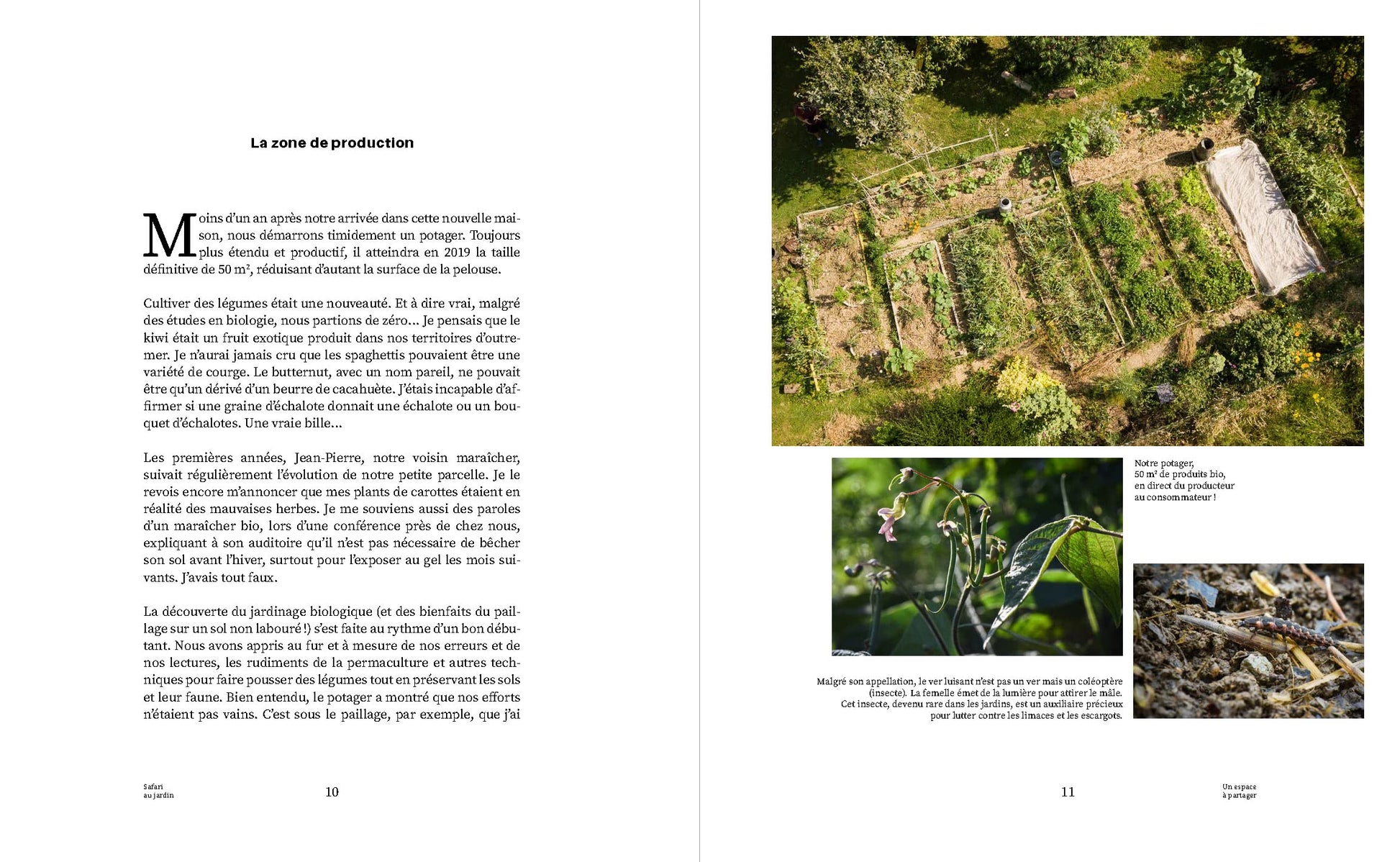 Safari au jardin: La biodiversité à portée de main !