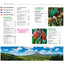 Guide Vert Costa Rica