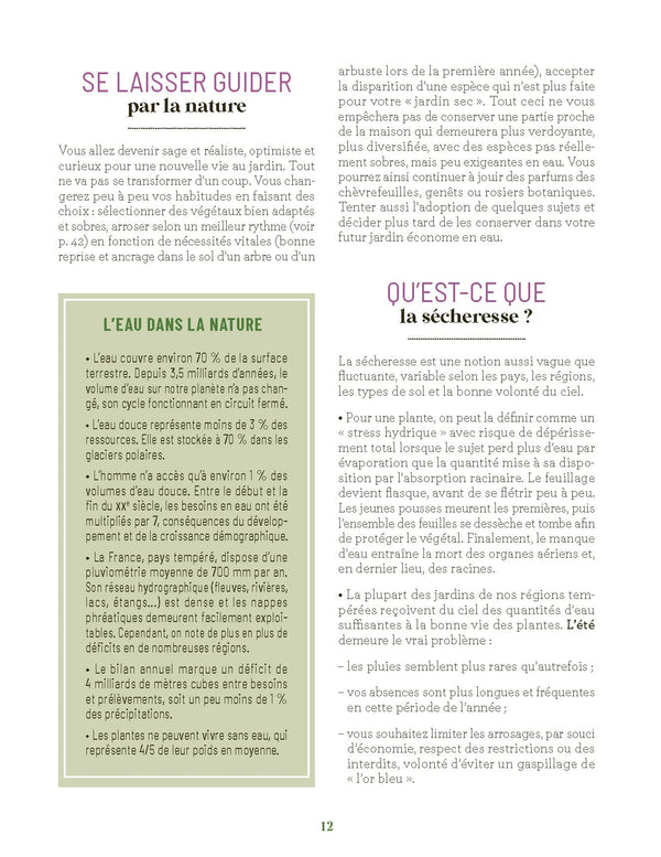 Les increvables au jardin: Que planter pour moins arroser ?