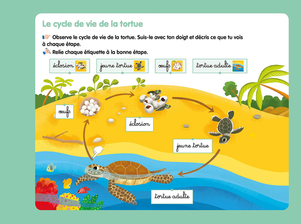 Les livres-ardoises - Les Cycles de vie Montessori