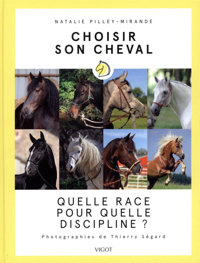 Choisir son cheval: Quelle race pour quelle discipline ?
