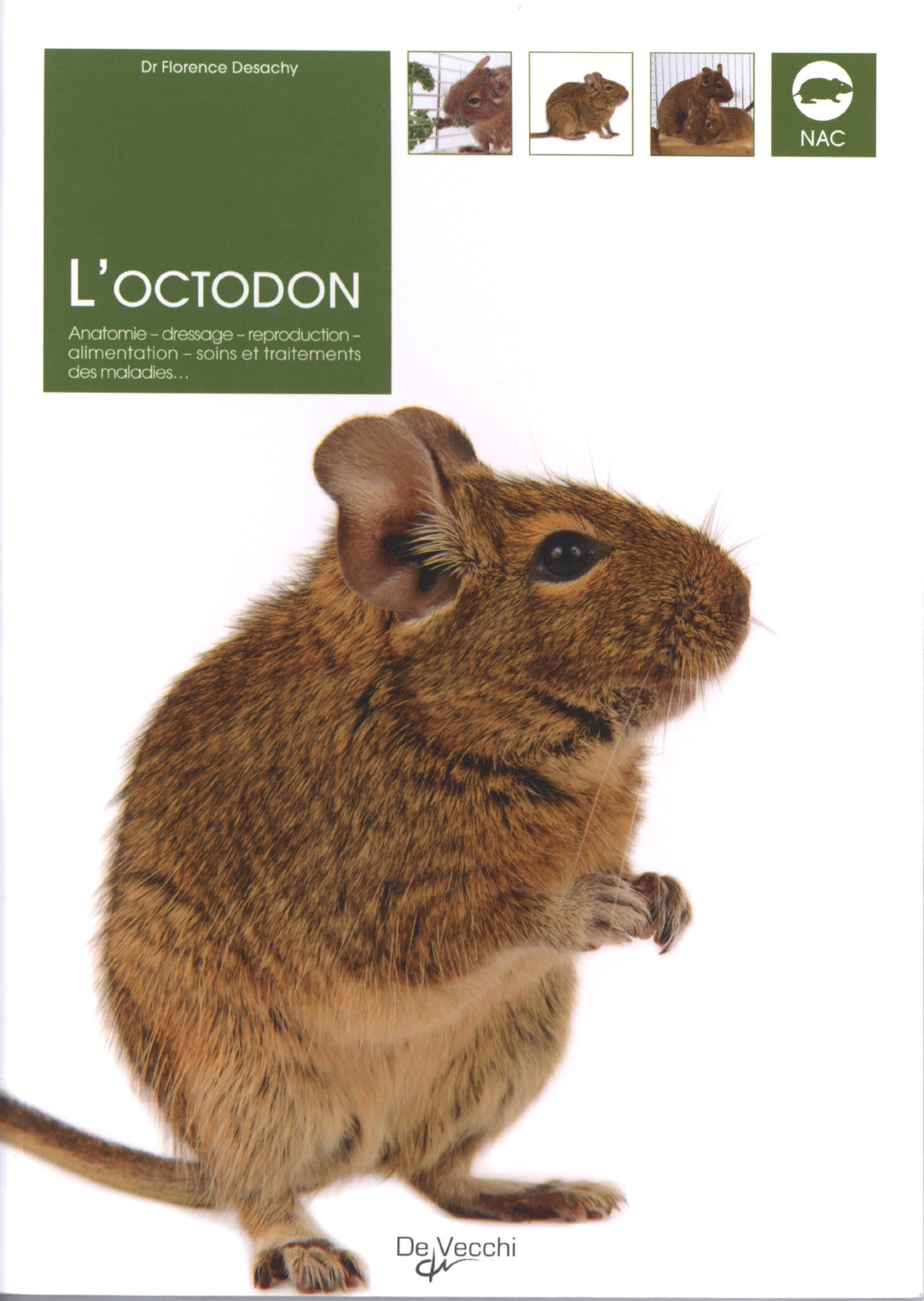 L'Octodon: Anatomie, dressage, reproduction, alimentation, soins et traitements des maladies