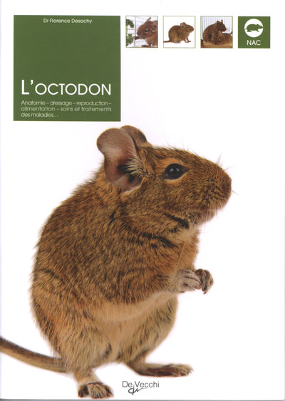 L'Octodon: Anatomie, dressage, reproduction, alimentation, soins et traitements des maladies