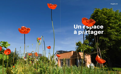 Safari au jardin: La biodiversité à portée de main !