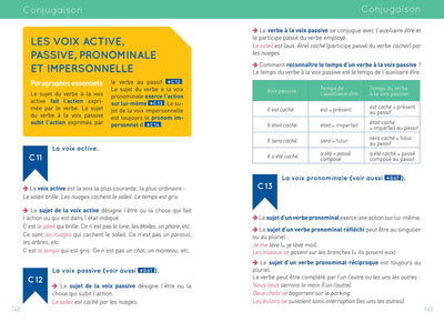 Littré grammaire, conjugaison: L'excellence de la langue française