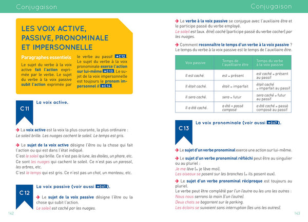 Littré grammaire, conjugaison: L'excellence de la langue française