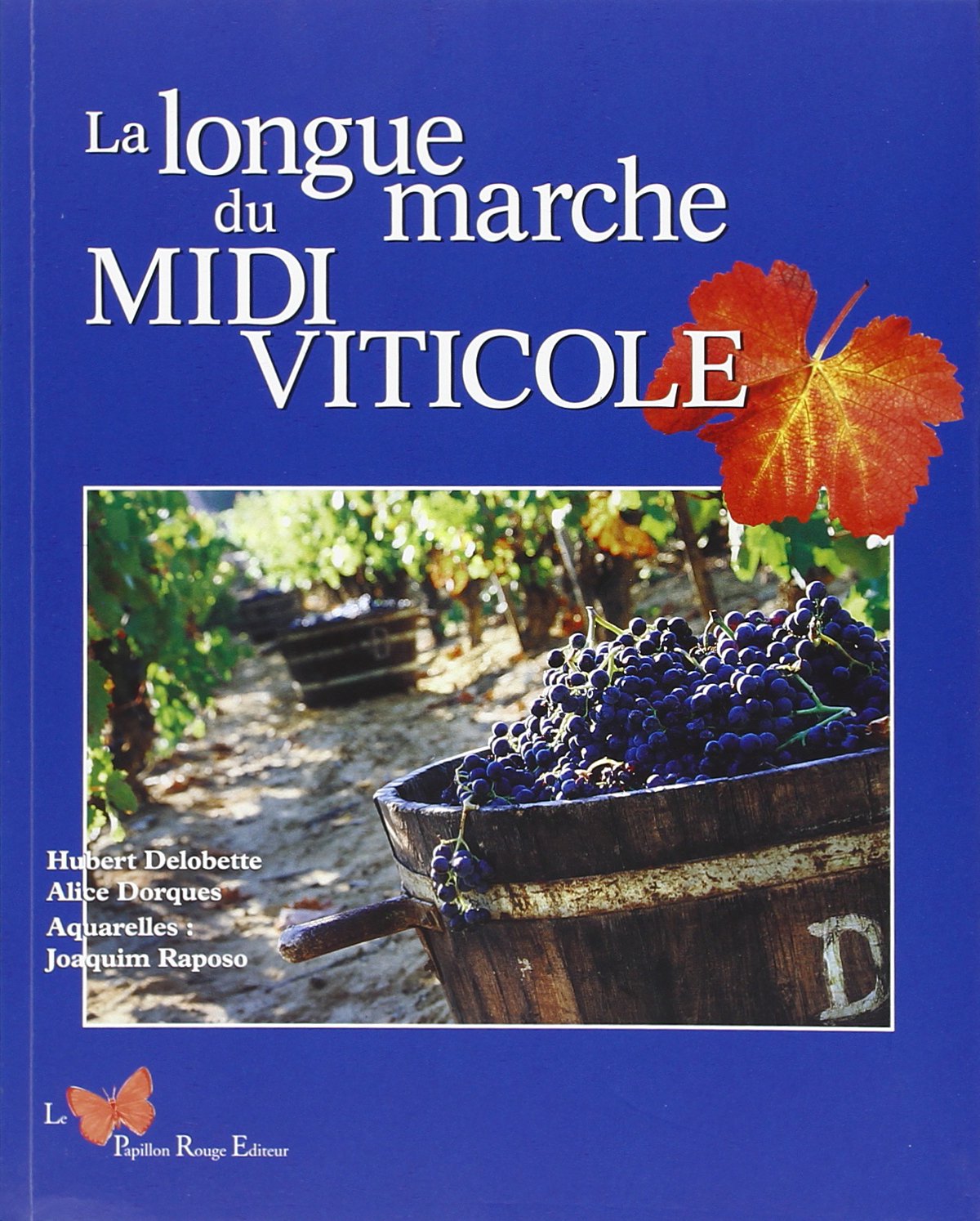 La Longue Marche Du Midi Viticole