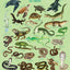 Je découvre les reptiles en dessinant et en coloriant