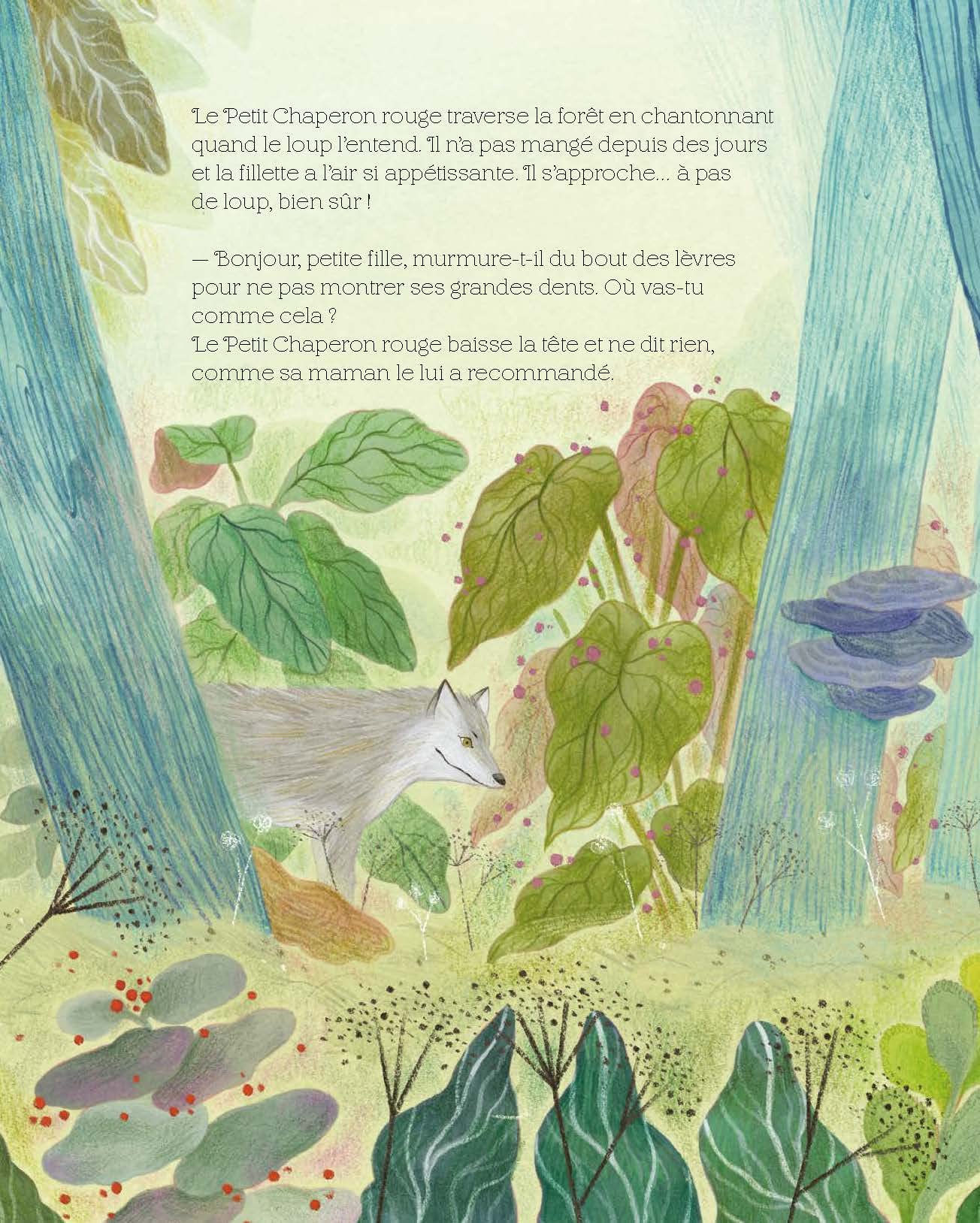 Le petit chaperon rouge
