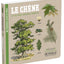 Deyrolle : Le Chêne et autres grands arbres – Album documentaire Jeunesse – À partir de 3 ans