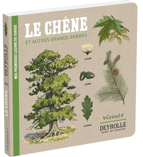 Deyrolle : Le Chêne et autres grands arbres – Album documentaire Jeunesse – À partir de 3 ans