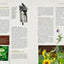 Un jardin pour les oiseaux