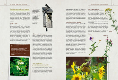 Un jardin pour les oiseaux