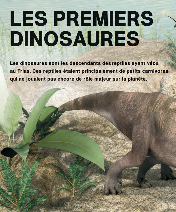 L’incroyable imagerie dinosaures