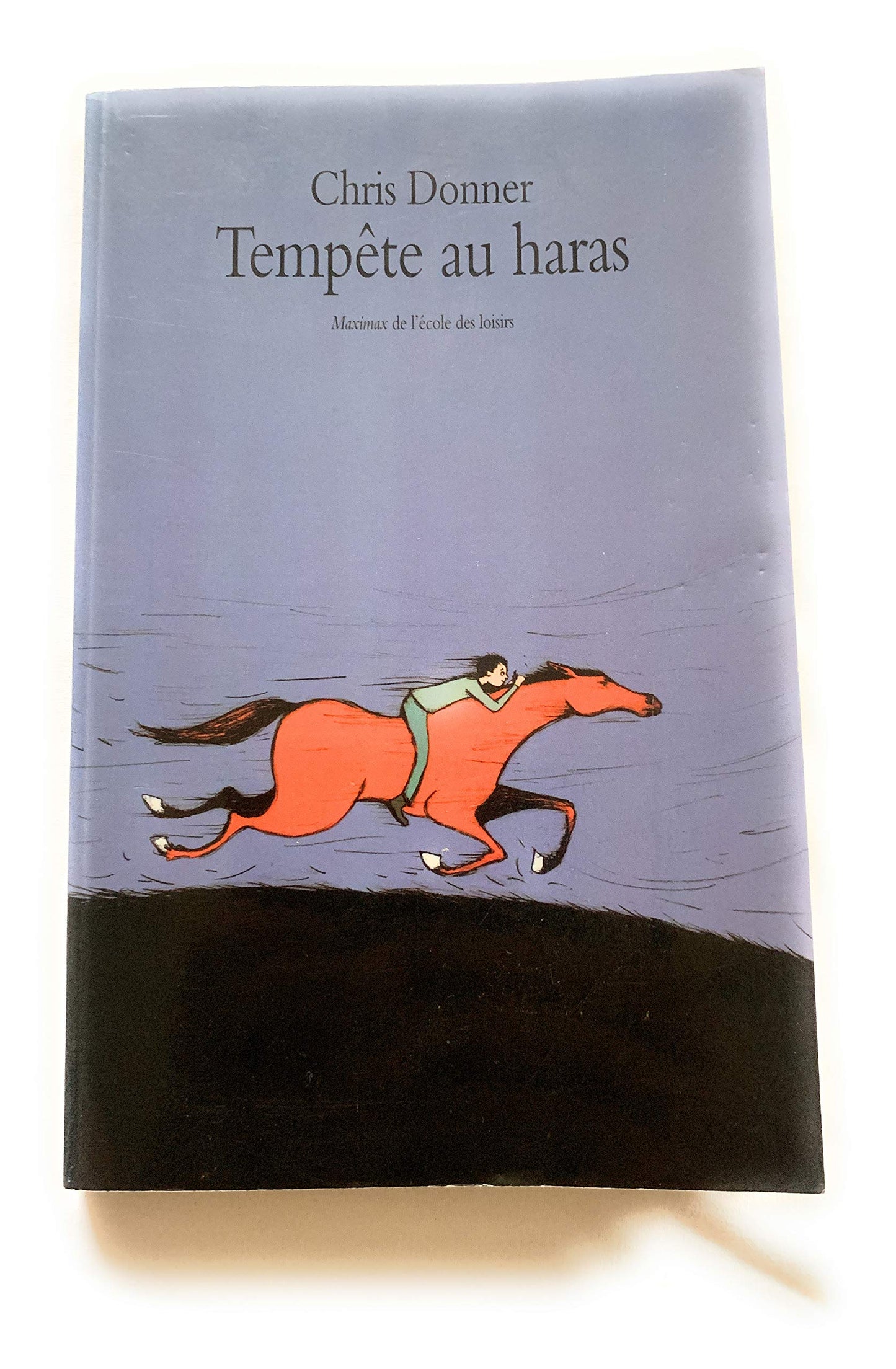 tempête au haras