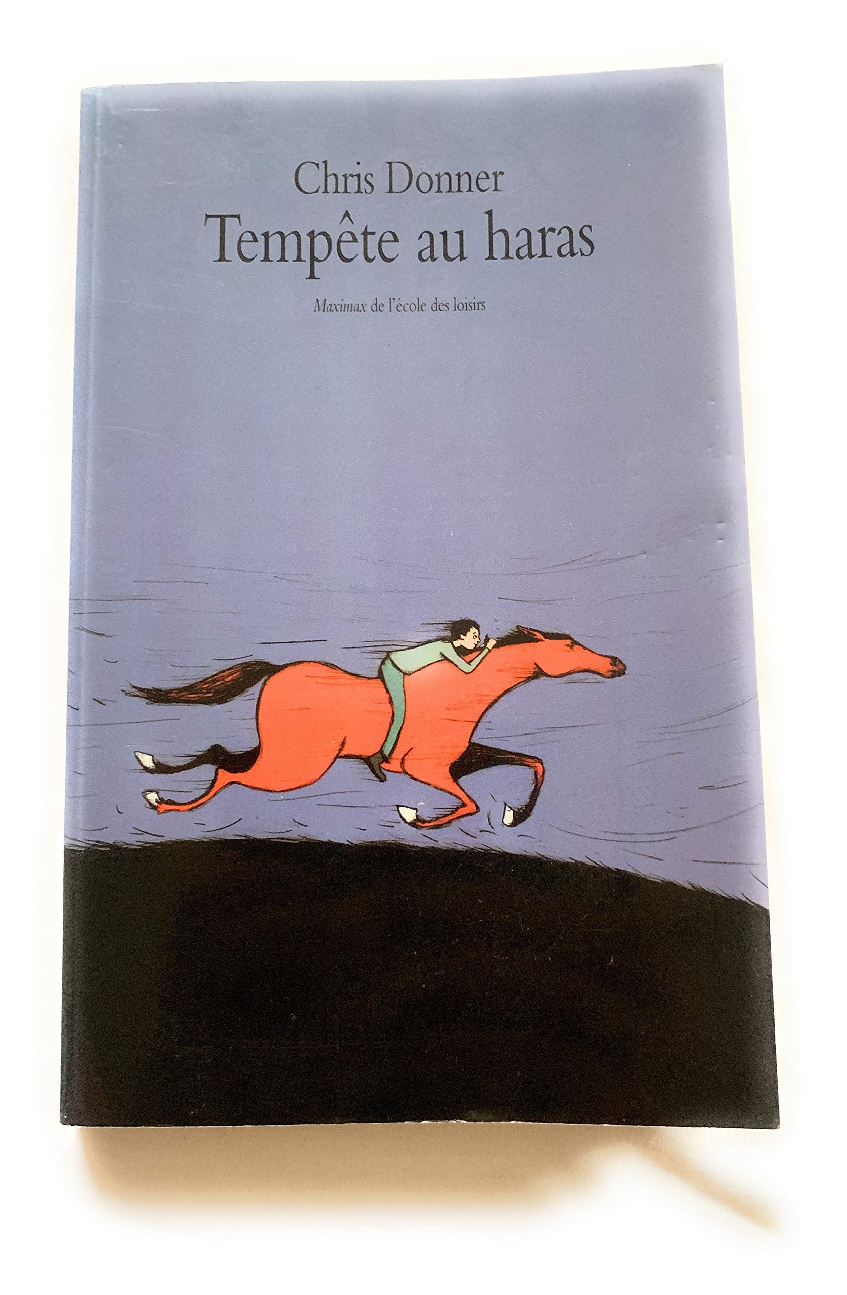 tempête au haras