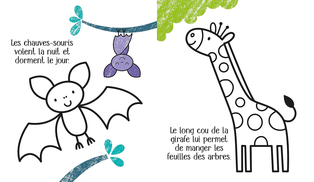 Les animaux du zoo - Mes petits coloriages Usborne