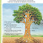 L'imagerie de la nature