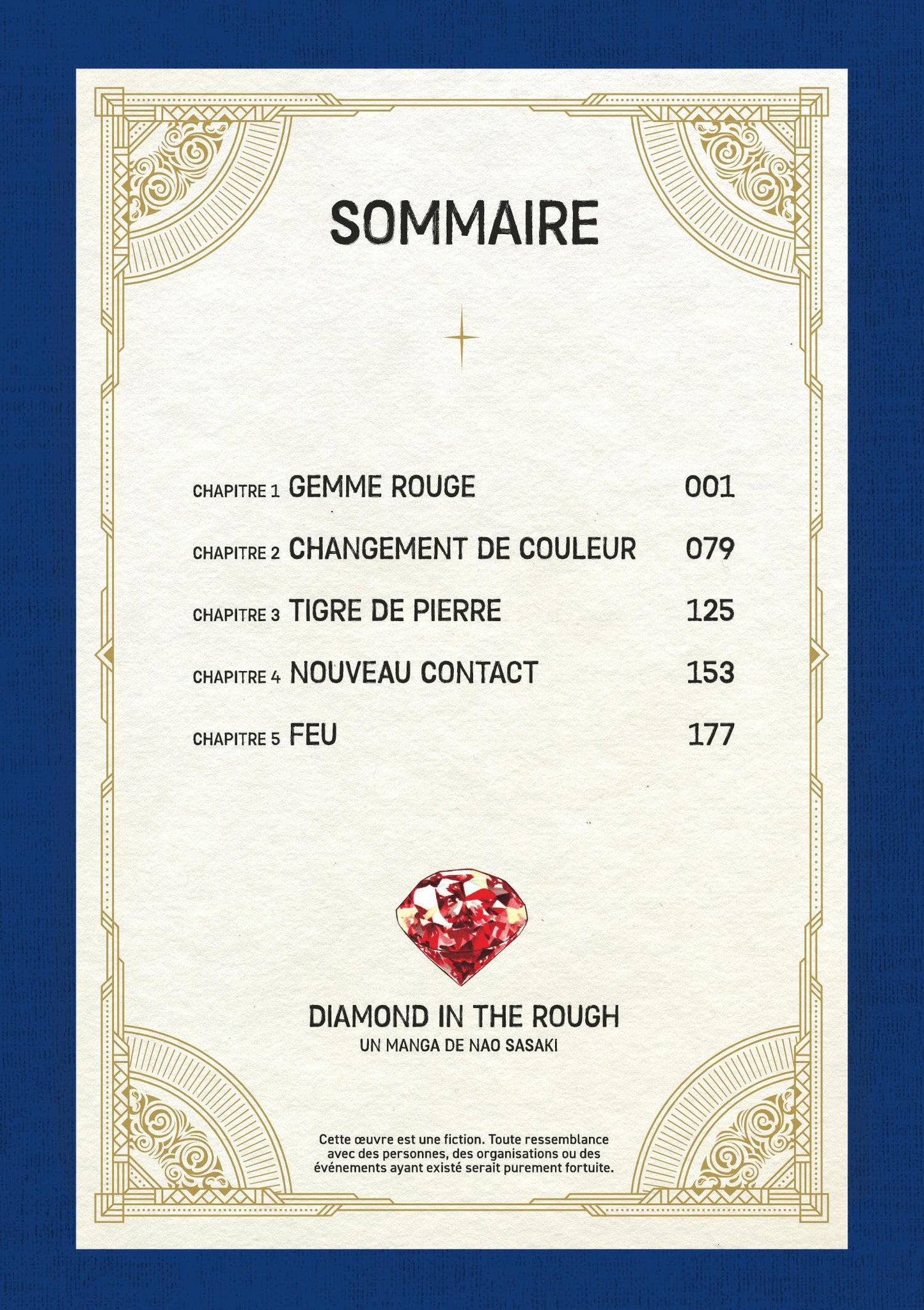 Diamond in the rough - Tome 1