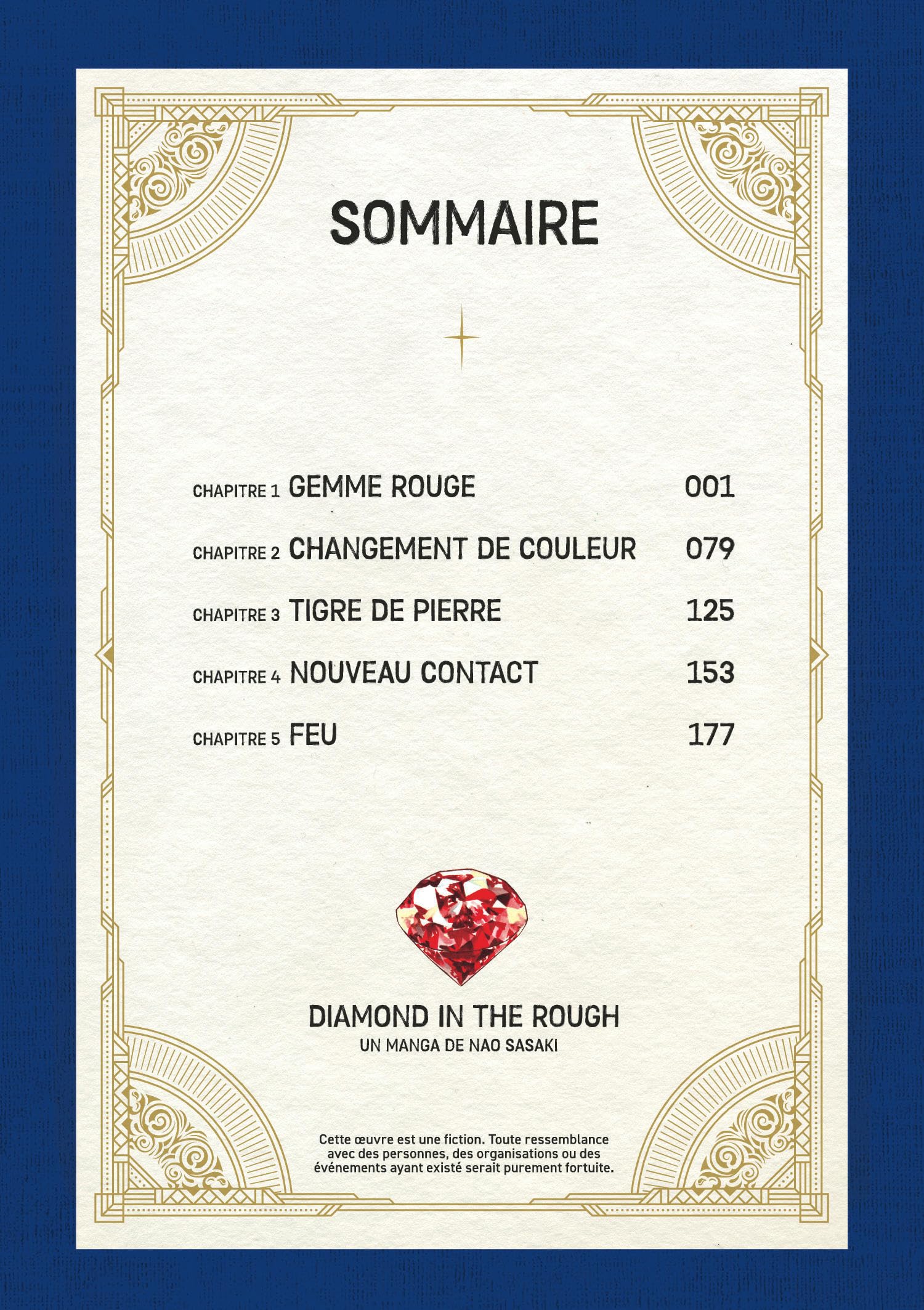 Diamond in the rough - Tome 1