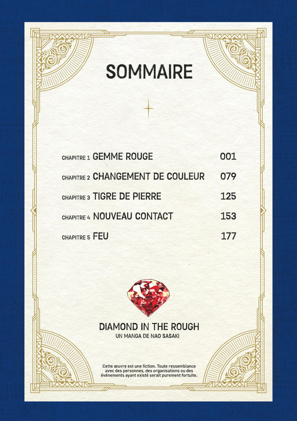 Diamond in the rough - Tome 1