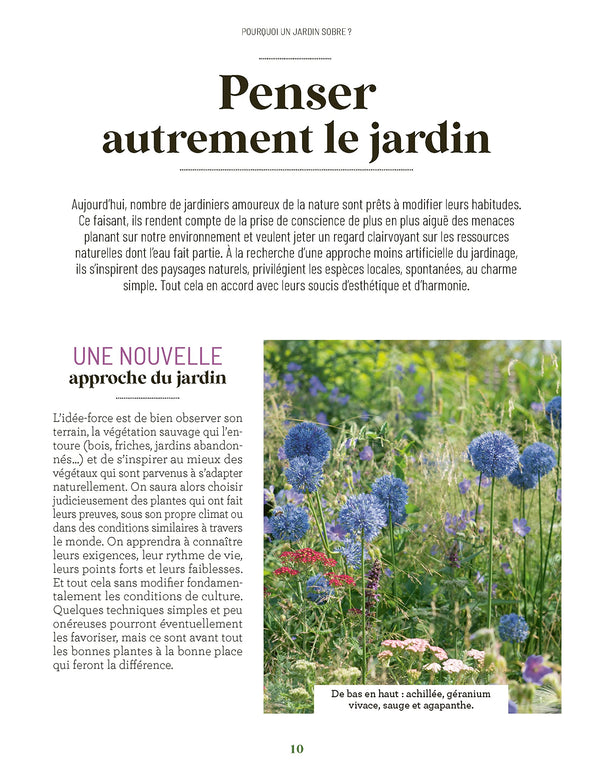 Les increvables au jardin: Que planter pour moins arroser ?
