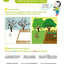 Bravo les maternelles - Tout le programme - Grande section