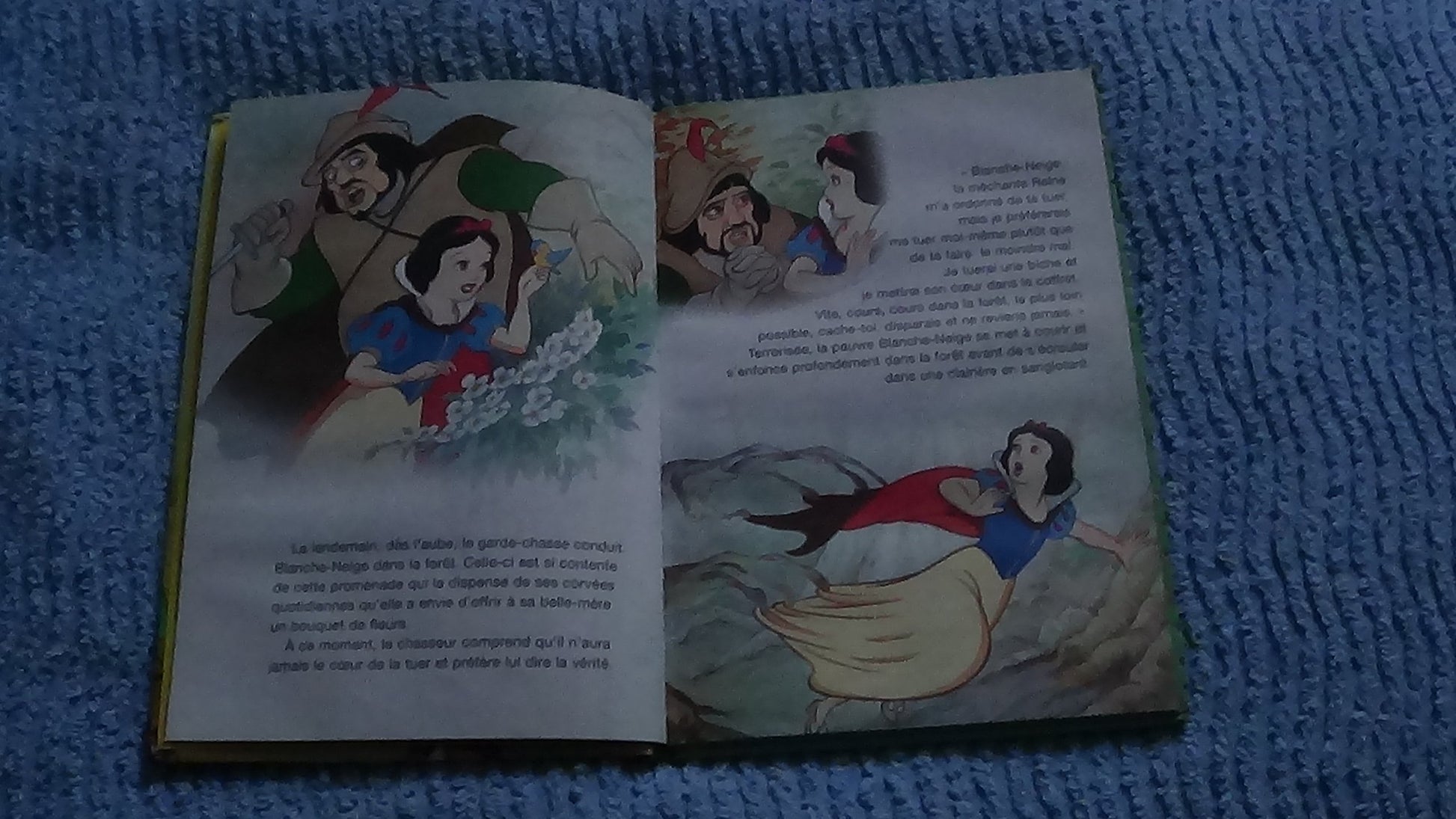 Blanche-neige et les 7 nains