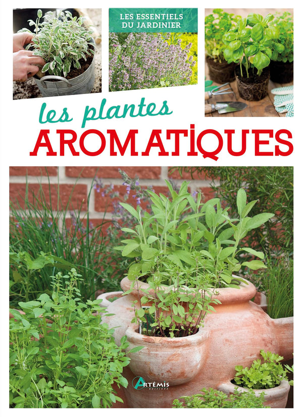 Plantes aromatiques (0)
