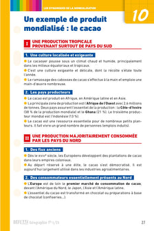 Géographie Tle L-ES: Fiches de révision