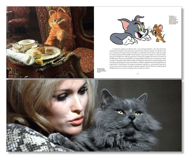 Star de chat et chats de stars