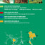 Guide Vert Thaïlande