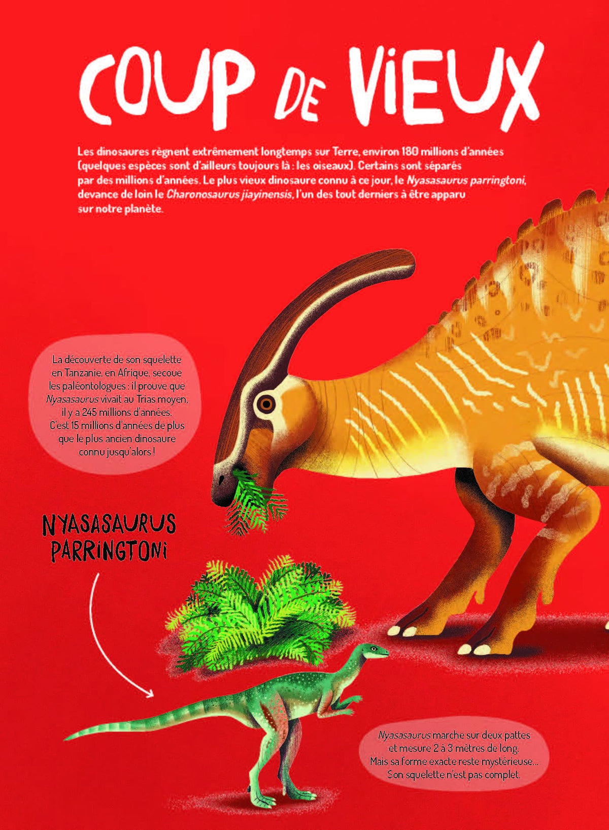 Dinosaures. 15 face-à-face incroyables !
