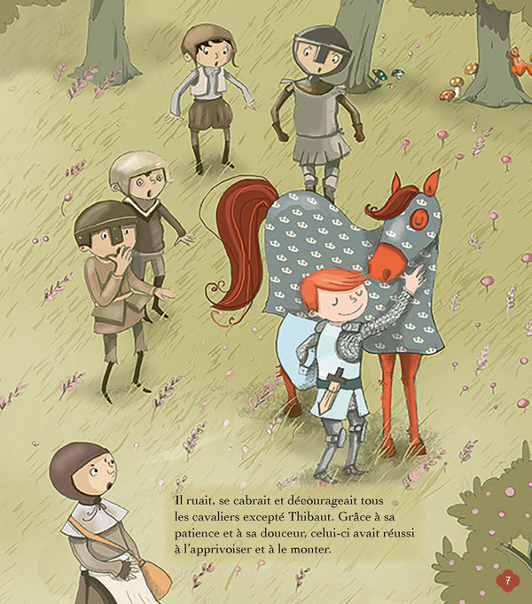 Histoires de princesses et de chevaliers