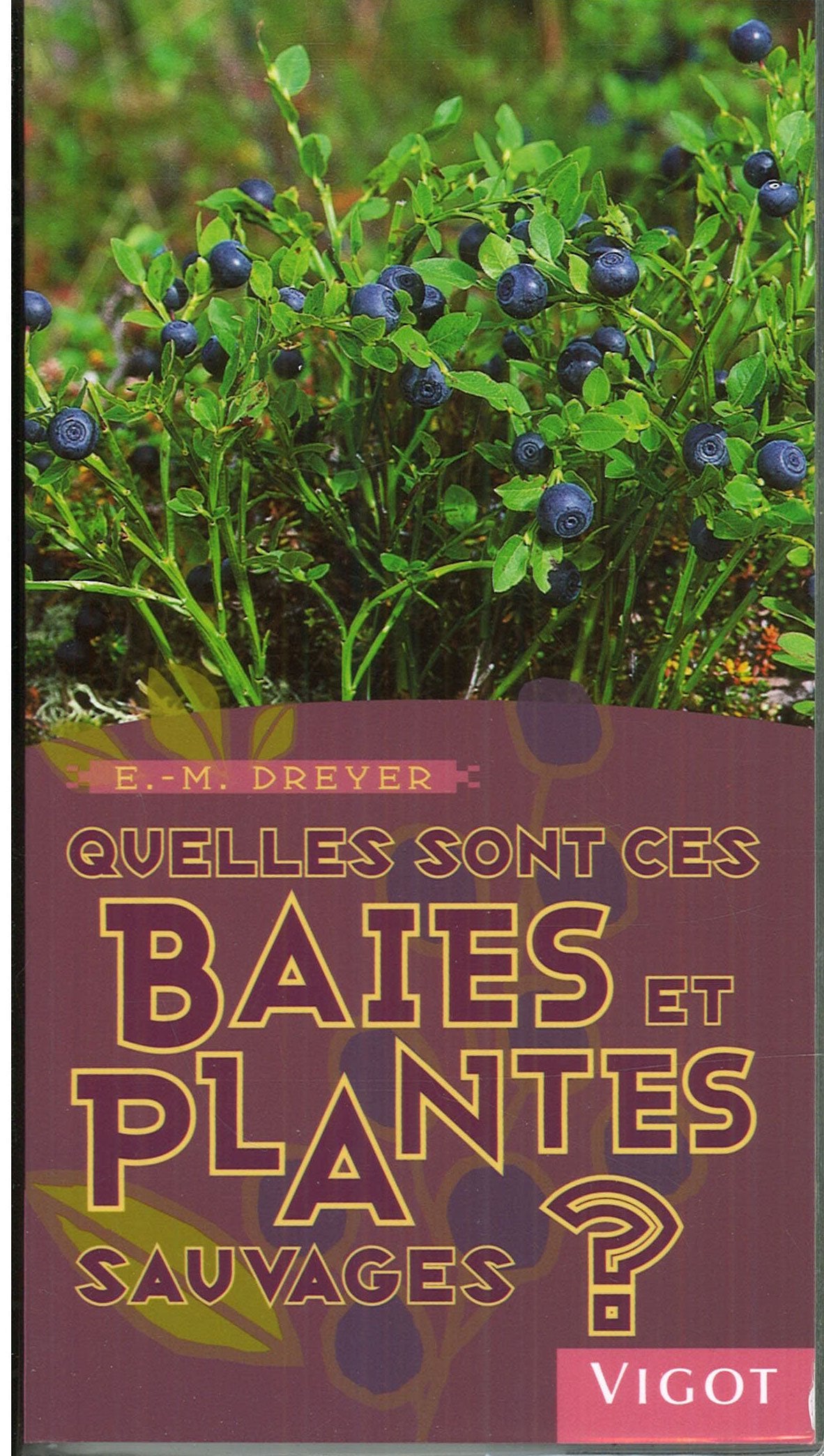 Quelles sont ces baies et plantes sauvages ? (0000)