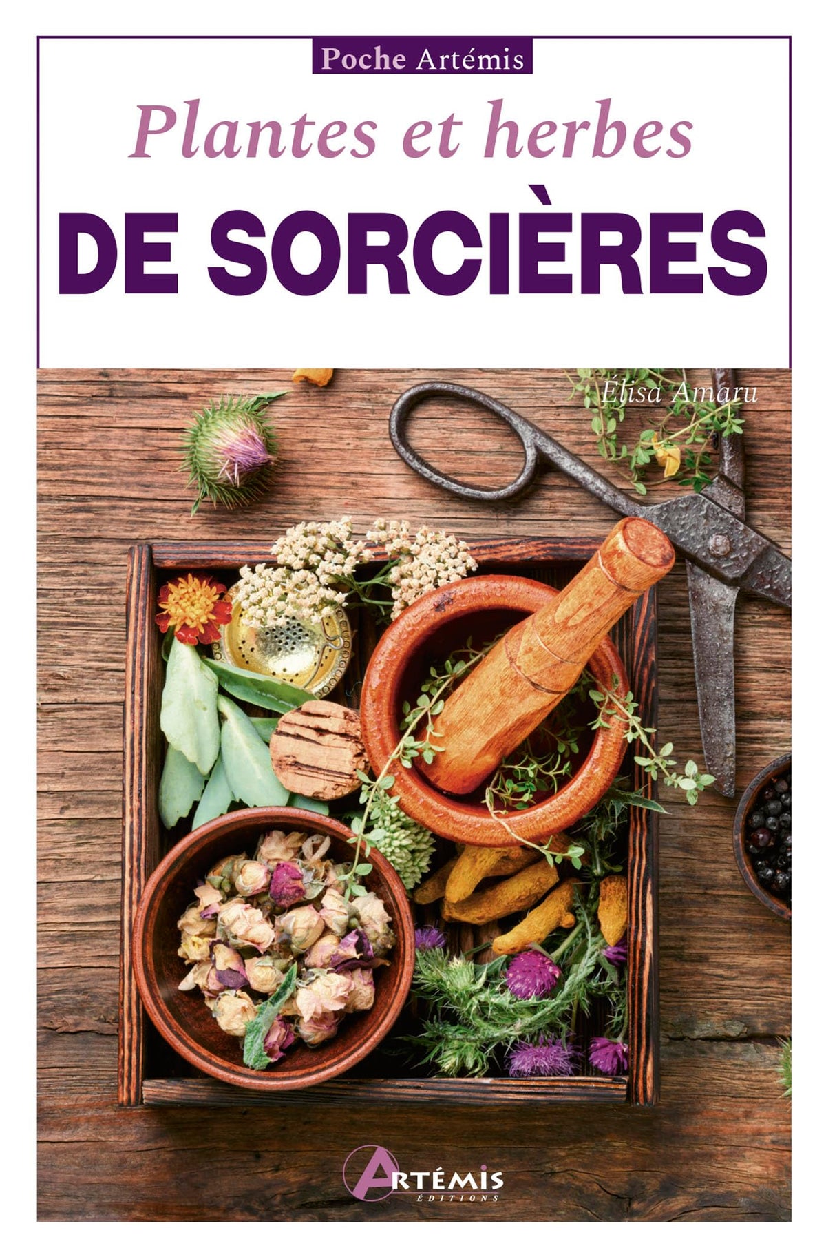 Plantes et herbes de sorcières