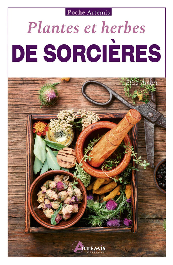 Plantes et herbes de sorcières